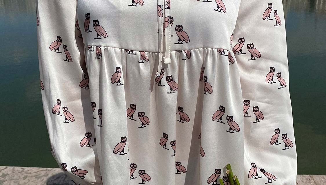 Owls Ingruha