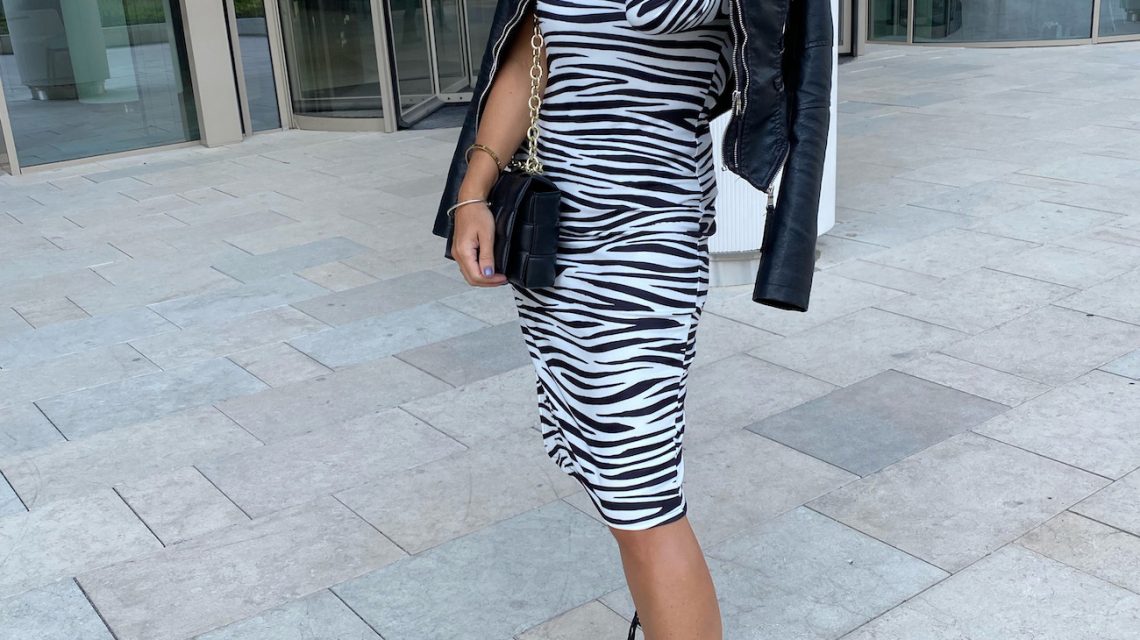 zebra01.jpg