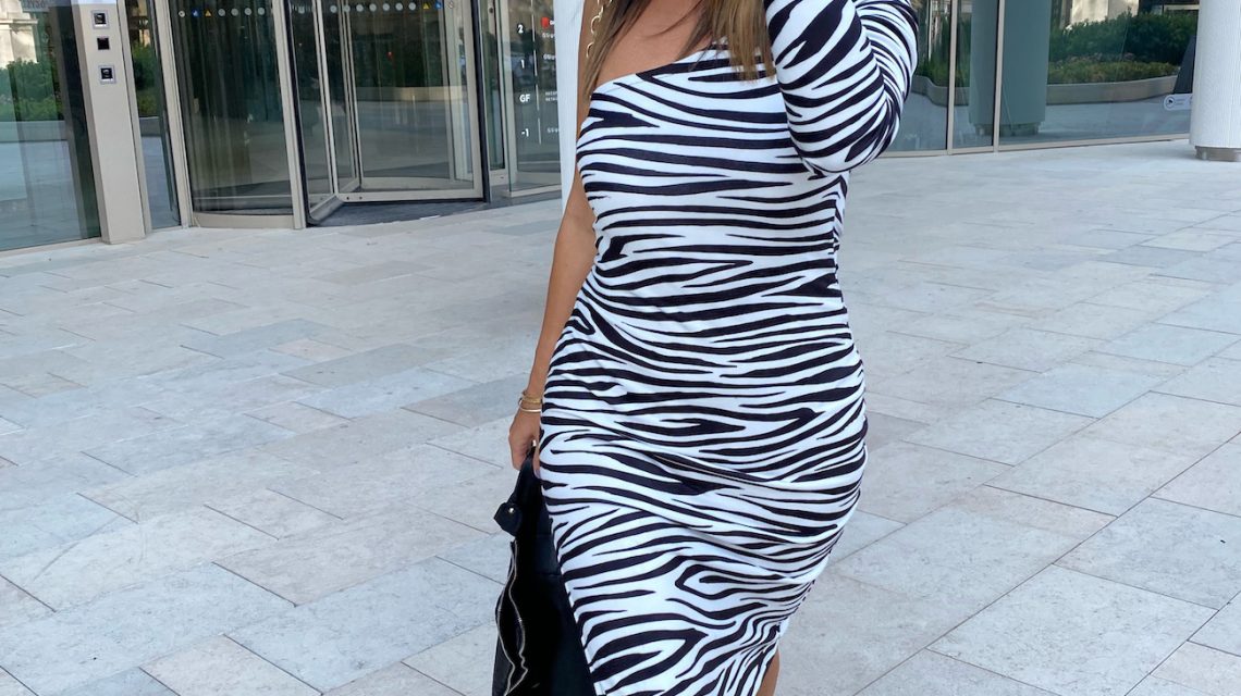 zebra04